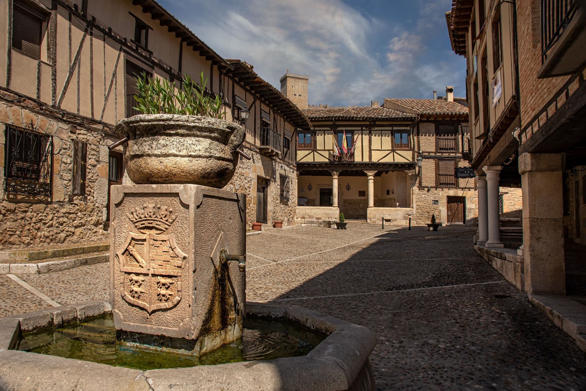 Turismo en Peñaranda de Duero