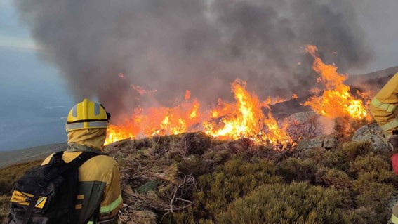 PELIGRO ALTO INCENDIOS