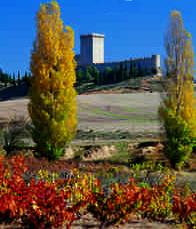 Centro de Interpretación del Castillo de Peñaranda de Duero 